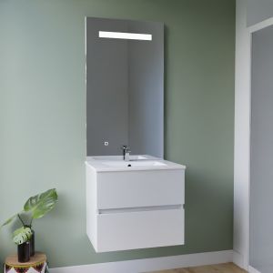 Meuble vasque tout inox ROSINOX 60 cm + miroir Elégance ht105