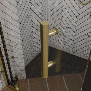 Porte de douche pivotante 80 cm cadre doré GOLDY 