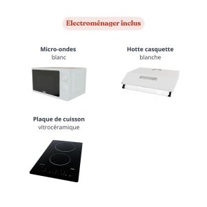 Kitchenette électroménager inclus : plaque vitrocéramique, micro-ondes blanc, hotte blanche