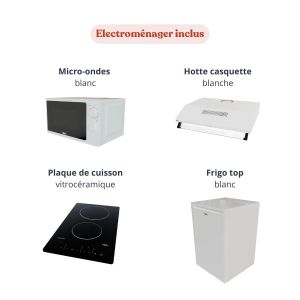 Electroménager inclus avec la kitchenette : frigo top blanc, micro-ondes blanc, hotte blanche, plaque de cuisson 2 feux