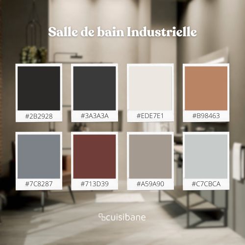 Couleurs pour une salle de bain industrielle